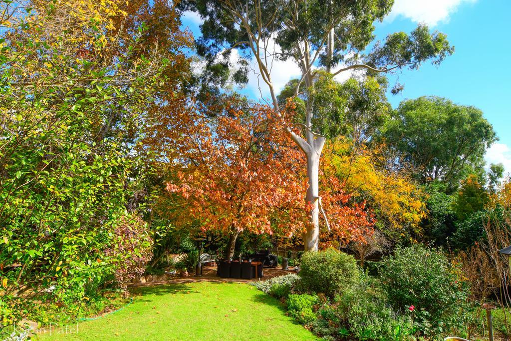 Possum Creek Lodge Gooseberry Hill エクステリア 写真