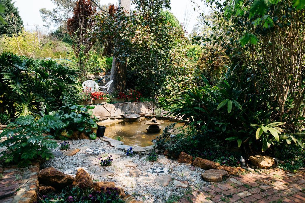 Possum Creek Lodge Gooseberry Hill エクステリア 写真